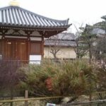 法華寺～海龍王寺　散策（気晴らしの休診日）