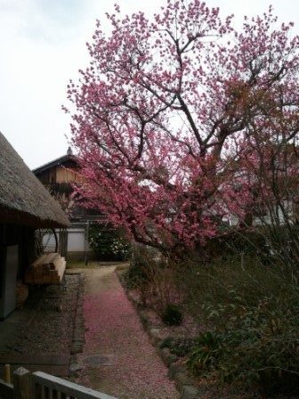 法華寺本堂