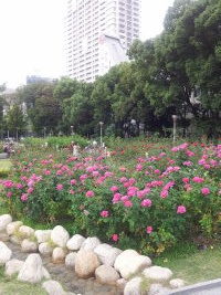 靭バラ園
