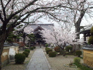 橘寺