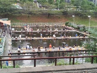 市ヶ谷釣り堀