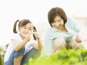 飛べない小鳥