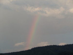 Double Rainbow ～ツキが向こうからやってきた～