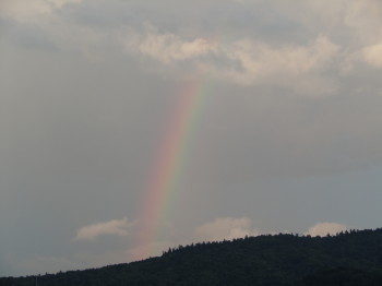 double20rainbow003