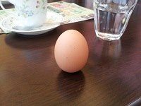 さらにどうでもよい話
