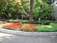 ウツボ公園 ウツボ公園