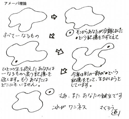 アメーバ理論