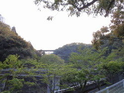 一庫ダム