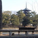 Living in this city～奈良に住むということ～