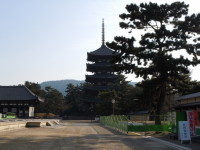 興福寺