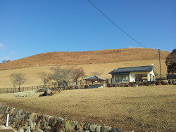 若草山