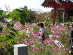 般若寺