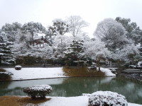 雪の平等院